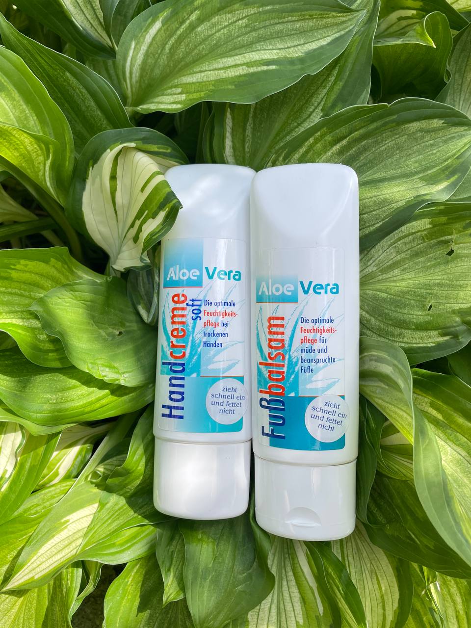 Aloe Vera Fußbalsam 100 ml