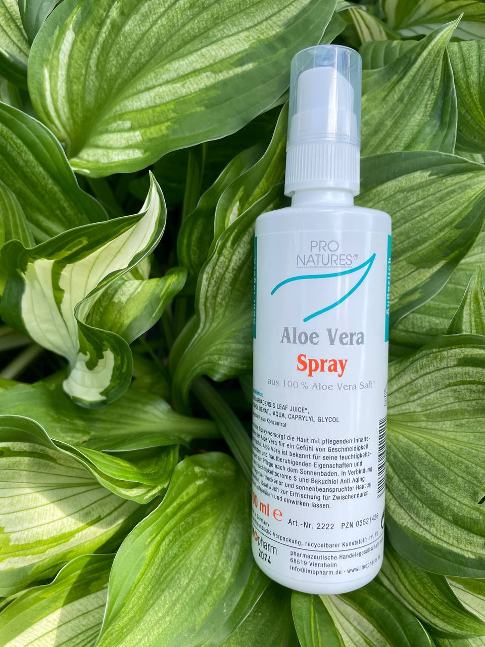 Aloe Vera Spray pro Natures Pumpflasche.